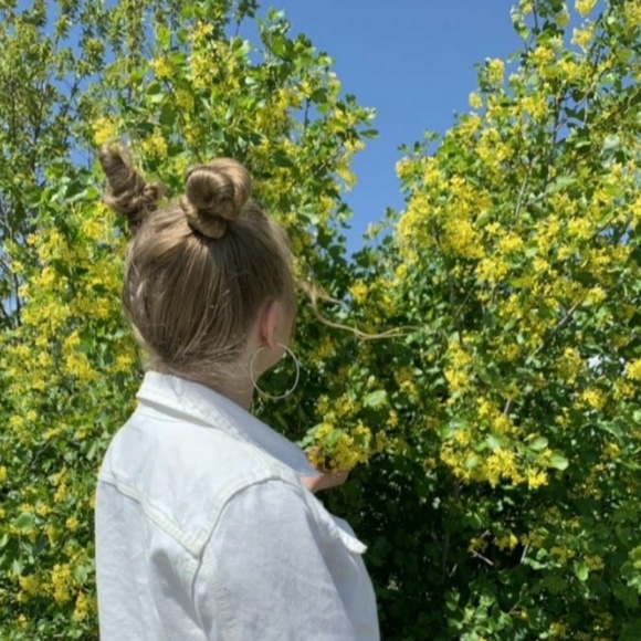 kyahwellings